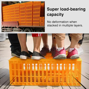 Caisse de transport en plastique pour poulets de la ferme avicole de Linchuan avec contrôle précis de la température pour poulets vivants - Product Image 3