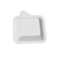 Assiette en papier rectangulaire jetable écologique gratuite, plateau en pulpe de canne à sucre pour le camping, vente en gros d'assiettes en bagasse