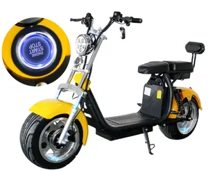 Sepeda motor listrik Citycoco 1400w, suku cadang mobilitas 60v 80km Bicicleta Electrica Tipo