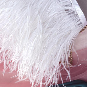 ขอบผ้าตกแต่งขนนกกระจอกเทศสำหรับงาน DIY อุปกรณ์ตกแต่งเสื้อผ้า ขนาด 10-15 ซม. แถบผ้าตกแต่งสำหรับงานแต่งงาน กระโปรงเต้นลาติน ปลายแขนเสื้อ - Product Image 6