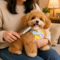 Peigne à poils pour animaux de compagnie en bois, manche naturel, dents en acier fin, couteau de toilettage, outil de démêlage pour chiens et chats, professionnel
