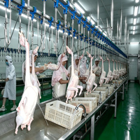 Ligne complète d'abattage de volailles : Équipement d'abattage, de purge et de plumage avec rail de transport pour abattoir de volailles et machine à plumer les poulets