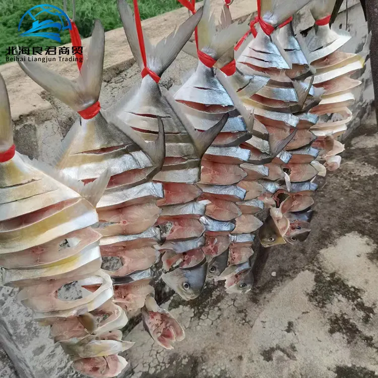 سمك البومبانو الذهبي المجفف المجمد عالي الجودة بسعر الجملة