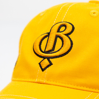 Gorras deportivas personalizadas, diseño de logotipo bordado 3D, gorras de béisbol de moda de estilo urbano fresco ajustables de alta calidad