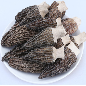 Funghi Morchella Neri Essiccati Naturali a Forma di Cubo, Funghi Freschi - Product Image 1