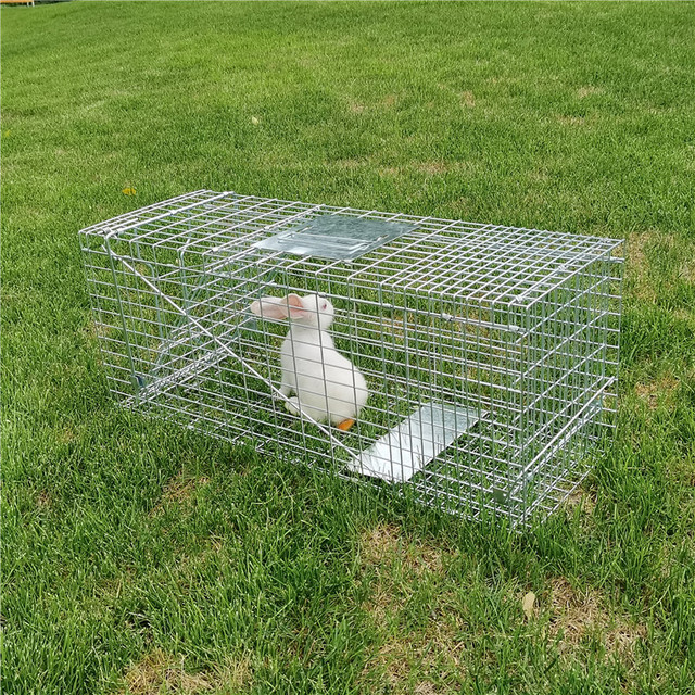 Live Animal Cage Trap Heavy Duty Folding Raccoon Traps Humane Cat Trap for Stray Raccoons Squirrel Mole Catch and Release