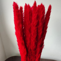Petites herbes de la pampa blanches séchées, fleurs fraîches pour la décoration intérieure, mariage, photographie, 15 tiges par bouquet, pour la fête des mères et les fêtes