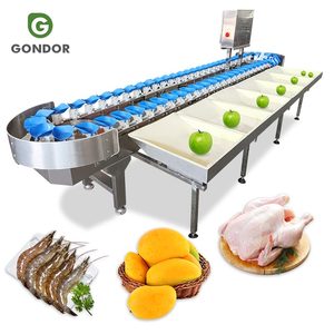 Máquina Clasificadora y Pesadora de Pechugas de Pollo, Tilapia y Aves de Corral - Product Image 1