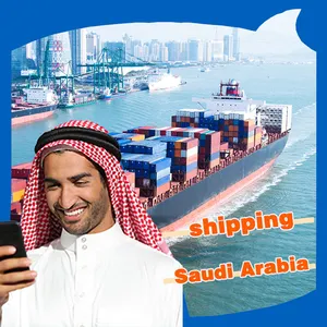 Agenti di spedizione trasporto aereo da Shenzhen Shanghai Lcl Sea Freight in Arabia saudita spedizioniere in Arabia saudita