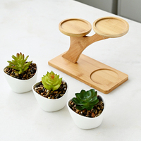 Pot en céramique émaillée écologique Simple réservoir de riz charnu blanc décoration de bureau à la maison mignonne