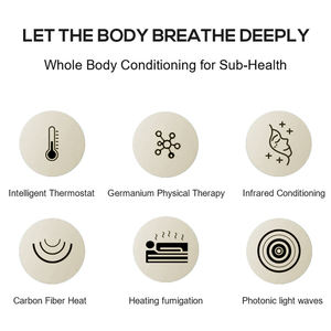 Uso domestico di bellezza attrezzature personalizzate antifamuse in pelle di cuoio personale per la cura della salute a infrarossi per Sauna cupola con luce fotonica - Product Image 6