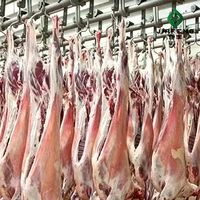 Viande d'agneau surgelée nutritive certifiée Halal, expédition en vrac