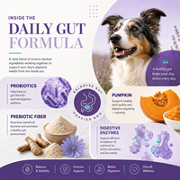 Probiotiques Canins et Félins pour Estomac Sensible – Friandises Tendres en Gros – Équilibre Intestinal et Soutien Enzymatique pour Animaux – Fabricant