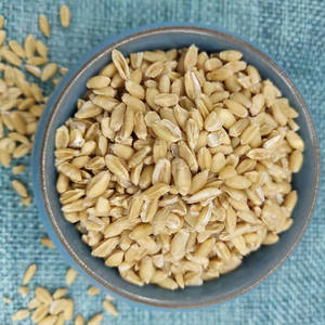 Trigo Seco Premium, Trigo Encogido para Hierbas - Product Image 2