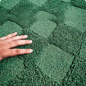Tufted Cotton <b>Rug</b> Eco Friendly Natural Fiber Mat for Home Decor Soft Texture and Durable Construction for Indoors - Product Image 1
