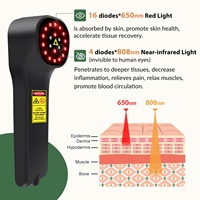 Appareil de thérapie laser froid à faible intensité pour soulager la douleur, portable, classe 3b, 808nm 650nm, lumière rouge pour chien et cheval, 880mW, 20 diodes