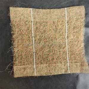 Protection des pentes en fibre de coco Geomat Contrôle de l'érosion Tapis géotechnique