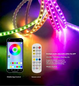 Iluminación <span class=keywords><strong>BTF</strong></span> Flexible DC24V 108Leds/m 8mm LED Pixel Direccionable WS2811 Guirnaldas de Luces para Exteriores con Control Remoto WiFi/App IP65 - Product Image 5