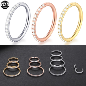Anneau segmenté articulé en titane de qualité <span class=keywords><strong>implant</strong></span>, type clicker, pour <span class=keywords><strong>piercing</strong></span> nez, septum, hélix et oreille, avec zircons cubiques pavés orientés vers l'extérieur - Product Image 2