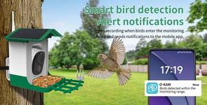 Caméra d'observation d'oiseaux intelligente à reconnaissance d'oiseaux par IA, mangeoires à colibris, 3MP 2K, vue large, vidéo en temps réel, <span class=keywords><strong>mangeoire</strong></span> automatique pour oiseaux - Product Image 3