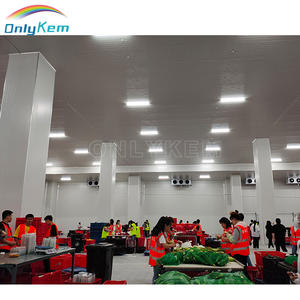 Énergie solaire -18 ℃   Chambre froide de stockage pour viande de bœuf, congélation de poisson, avec unité de condensation - Product Image 3