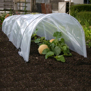 Mini <span class=keywords><strong>serra</strong></span> facile in pile da giardino coltivare Tunnel PE tessuto <span class=keywords><strong>serra</strong></span> coltivare Tunnel per giardini per la cura delle piante e la protezione - Product Image 2