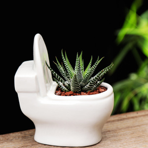 Vaso <span class=keywords><strong>da</strong></span> fiori bianco in ceramica succulenta creativo europeo <span class=keywords><strong>balcone</strong></span> che pianta <span class=keywords><strong>piante</strong></span> verdi vaso <span class=keywords><strong>da</strong></span> fiori piccolo Hotel - Product Image 3