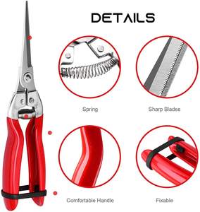 Thin Stainless Steel Fruit <b>Cutter</b> Long Straight Garden Shears Scissors Plastic Precision <b>Edge</b> for Grape Harvesting Bud Trimming - Product Image 3