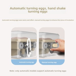 Incubadora pequeña completamente automática 6 USB para pollo, pato, Paloma, codorniz, huevo, incubación, iluminación educativa, nueva condición - Product Image 3