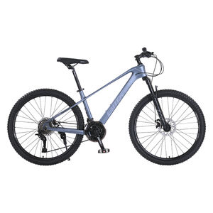 Bicicleta de Montaña <span class=keywords><strong>MTB</strong></span> de 29 Pulgadas para Trekking y Carreras, Directo de Fábrica, para Hombre - Product Image 5
