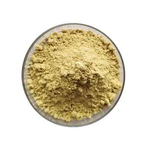 Pure Natural 100% Organic Ginger Powder Ginger Extract Powder for Cooking or Herbal Use