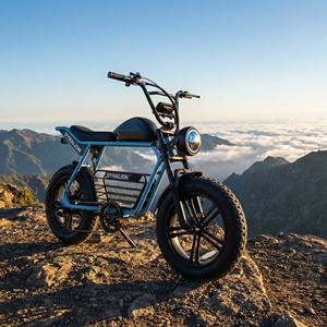 Vélo électrique tout-terrain à pneus larges de 20 pouces avec transmission à 7 vitesses, Scrambler Ebike pour sentiers de montagne accidentés - Product Image 6