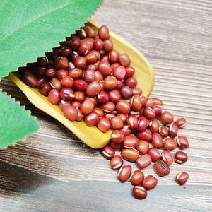 Fagioli Adzuki rossi di origine cinese (Vigna Angularis, fagioli verdi rossi) fagioli Azuki - Product Image 3