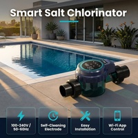 Système de Chlorage Intelligent WiFi à Plaque de Titane pour Eau Salée 2-25 G/h – Générateur de Chlore pour Piscine Minder – Clorador de Sal Para Piscina