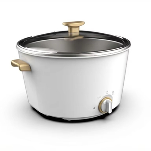 Fabricant OEM ODM – Marmite Électrique Personnalisable (Tension et Couleur) 2.5L 1000W à Commande Mécanique pour Hôtels et Usage Domestique - Product Image 2