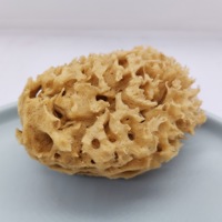 Emballage personnalisé éponge de mousse de mer douce 100% éponge de bain de bébé biodégradable éponge de mer naturelle
