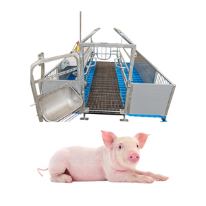 2025 lợn trang trại thiết bị <span class=keywords><strong>PVC</strong></span> hàng rào lợn farrowing lồng Túp lều thai sản bút farrowing thùng cho lợn - Product Image 3