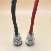 Diode redresseuse standard à borne 250A D61-250-18-R0 D61-250-18-N0 Diode haute puissance