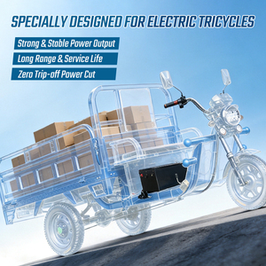 Batería de Litio de 60 Voltios y 100 Ah con Certificaciones <span class=keywords><strong>UI</strong></span> 2271 para E Rickshaw, Batería para Auto Rickshaw en Venta - Product Image 3