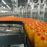 Reiniging Van Vers Fruit Die De Volledige Verwerkingsfabriek Voor Vruchtensap Ontzuigt