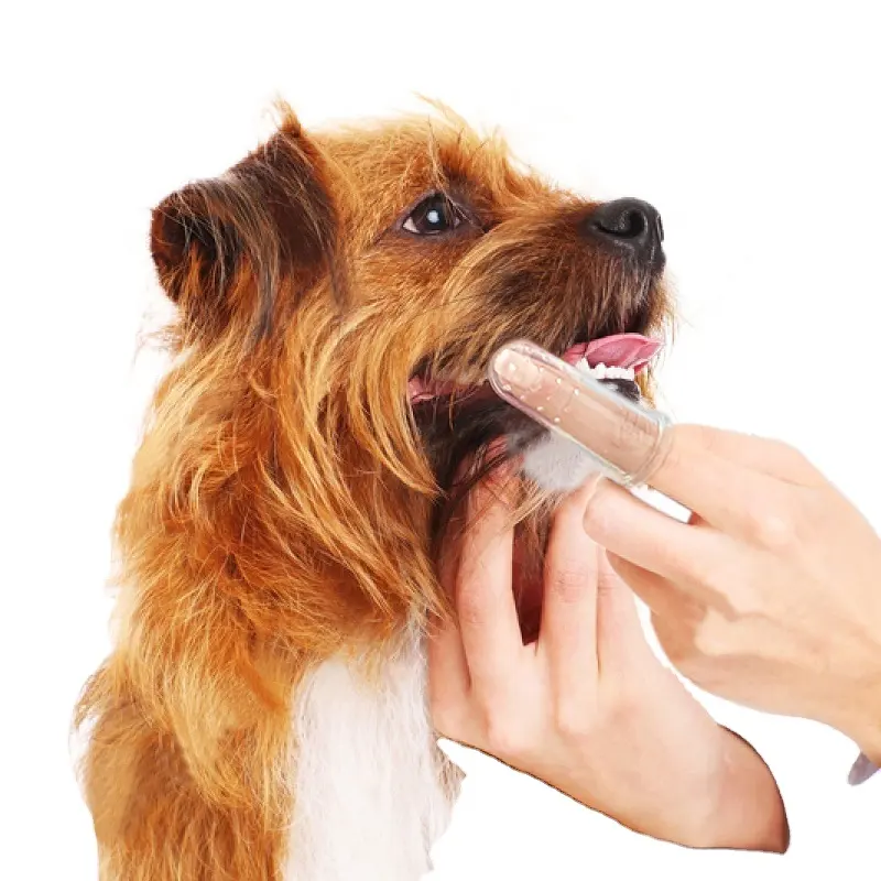 Escova de dentes de silicone para gato/cachorro, venda quente de silicone macia, limpeza dos dentes, cachorro e gato