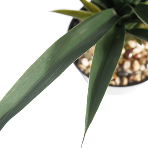 Planta barata para centro comercial, venta directa de fábrica, supermercado, sisal de imitación, cáñamo, plantas de <span class=keywords><strong>agave</strong></span> artificiales, 2021 - Product Image 2