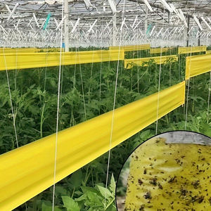 Rouleau de piège collant jaune imperméable 15 cm x 100 m - pour les pucerons en serre et barrière contre les insectes rampants sur les troncs d'arbres - Product Image 1