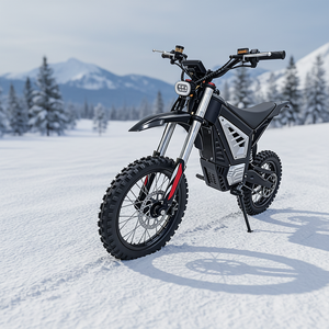 Moto tout-terrain haute performance EU 2000W pour adultes - Batterie longue portée, moteur puissant, suspension - Valintsu GT54 Pro - Product Image 2
