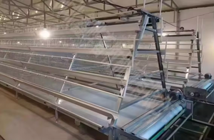 Nuevo <span class=keywords><strong>gallinero</strong></span> automático de acero galvanizado tipo H de Hebei, 80 kg, 15-20 años de vida útil, 5 años de garantía - Product Image 6