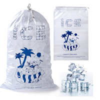 Sacs de rangement et d'emballage personnalisés en plastique réutilisables et jetables, fonctionnels, avec cordon de serrage, pour glacières rigides et glaçons
