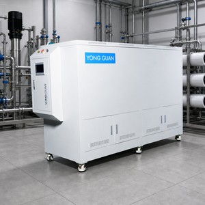 Mini-station d'épuration d'eau personnalisée 50-350 l/h – Purification de surface, floculation, sédimentation, filtration pour eau potable - Product Image 2