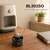 Moteur BLDC miniature BL3025O 12V 14W 4000RPM 342g.cm à couple élevé 1.3A, cadre 30mm, pour maison intelligente, instrument cosmétique, personnalisation OEM ODM