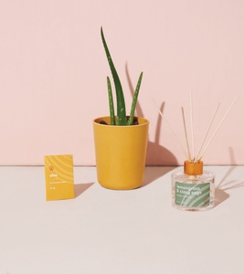 Premium Mindful Suculent Sunset Spectrum Gardener Kit para una vida más pacífica y mejor - Product Image 4