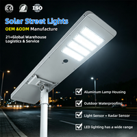 Lampadaire solaire tout-en-un 100W en aluminium moulé sous pression, étanche IP65, avec batterie LiFePO4 et lampe LED pour projets routiers municipaux